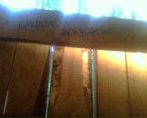 Виктор Закусилов фотография #20 (источник - https://vk.com/id27527075)