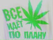 Ростік Буряковський фотография #45 (источник - https://vk.com/id99057359)