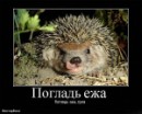 Я... ФоЛныФко=) фотография #15 (источник - https://vk.com/id58452694)