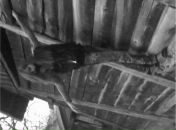 Іра Дрімуш фотография #18 (источник - https://vk.com/id99252032)