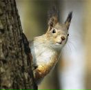 Фотография Логвин Антон