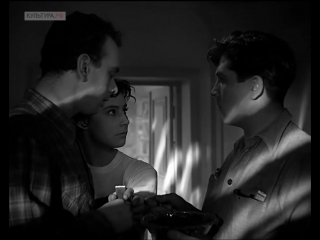 Летят журавли