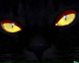 Фотография Барышков Илюха