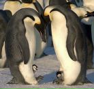 Фотография Орловой Евгении