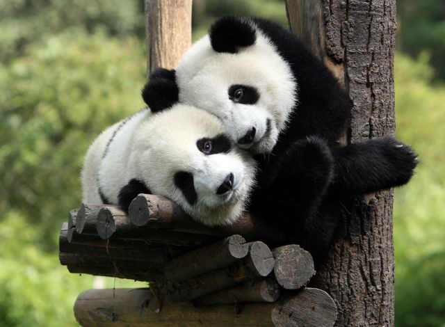 Сергей Титаев фотография #4