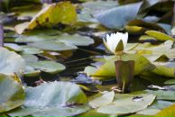 Роман Нутерман фотография #25 (источник - https://vk.com/id766871)