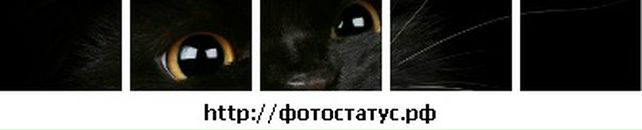 Надія Кузьма фотография #23 (источник - https://vk.com/id66826617)