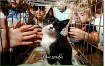 Фотография Эйферт Марины