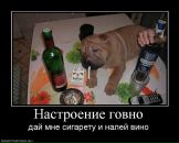 Тима Мороз фотография #32 (источник - https://vk.com/id249775)