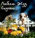 Ліза Кох фотография #12 (источник - https://vk.com/id94423636)