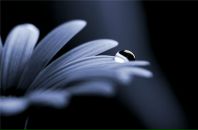 Фотография Колобовой Ирины