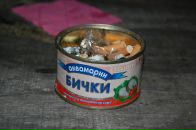 Назар Одинаєв фотография #3 (источник - https://vk.com/id581301)