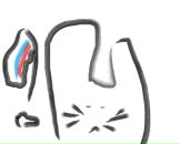 Фотография Сыщикова Александра