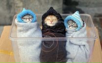 Фотография Николаевича Александра