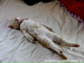 Фотография Погребенного Олега