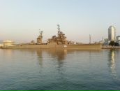 Артя Петросянц фотография #3 (источник - https://vk.com/id53859785)