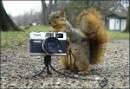 Наталія Верцюх фотография #27 (источник - https://vk.com/id12921603)