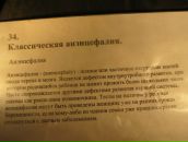 Любава Субботина фотография #20 (источник - https://vk.com/id69171592)