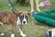 Кирилл Митяев фотография #24 (источник - https://vk.com/id6828811)