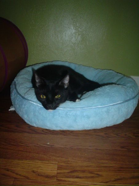 Igor Tarasov фото №50