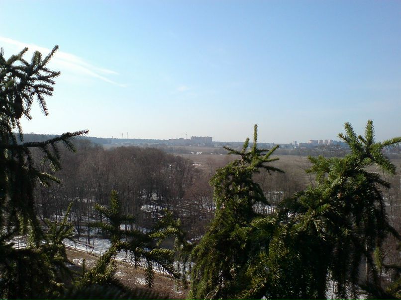 Дмитрий Васильев фотография #47