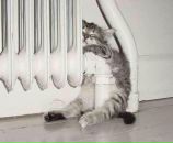 Фотография Радайкиной Марины