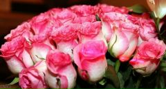 Фотография Мочаловой Татьяны