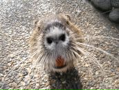 Фотография Кропачева Владимира