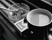 Фотография Алексеенко Кристины