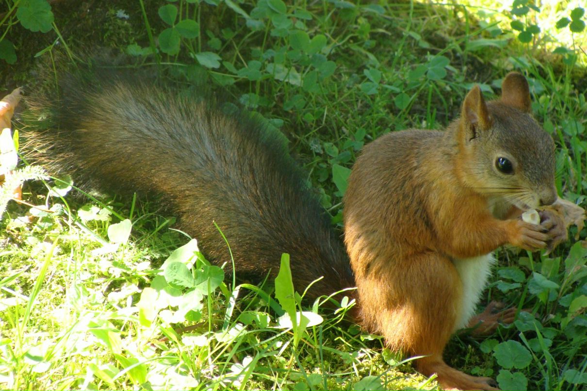 Сергей Никитин фотография #33