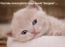 Свєта Зіняк фотография #10 (источник - https://vk.com/id139651058)