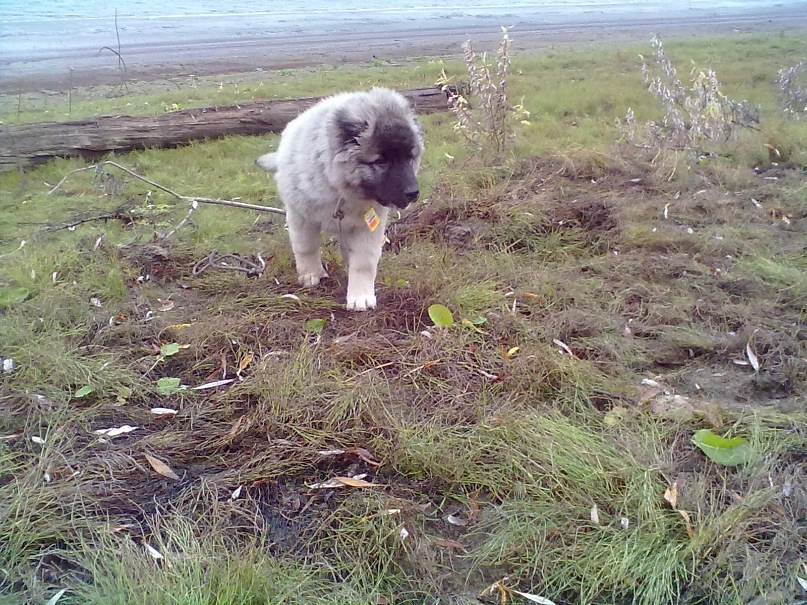 Оля Ефименко фотография #15