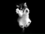 Фотография Черковой Анны