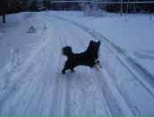 Фотография Солодкиной Татьяны