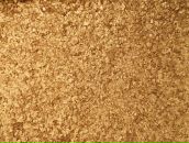 Фотография Малимонова Павла