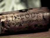 Іван Лузін фотография #6 (источник - https://vk.com/id10251325)