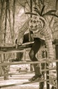 Κирилл Αлексеев фотография #39 (источник - https://vk.com/id146509268)