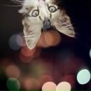 Фотография Шабановой Дарьи