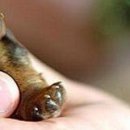 Каріно4ка♥ Шрамко фотография #14 (источник - https://vk.com/id147791993)