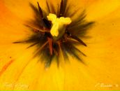 Сергій Хеміч фотография #33 (источник - https://vk.com/id11054151)