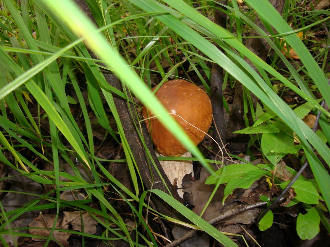 Эмма Кубло фотография #47