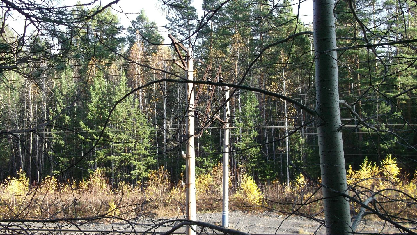 Александр Бабенко фотография #24