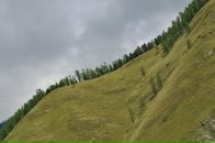 Nick N фотография #23 (источник - https://vk.com/id16209708)