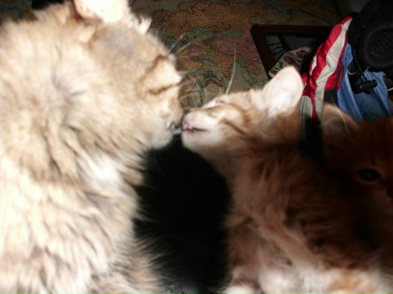 Юрий Чесноков фотография #41