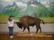 Фотография Гутинёвой Кати