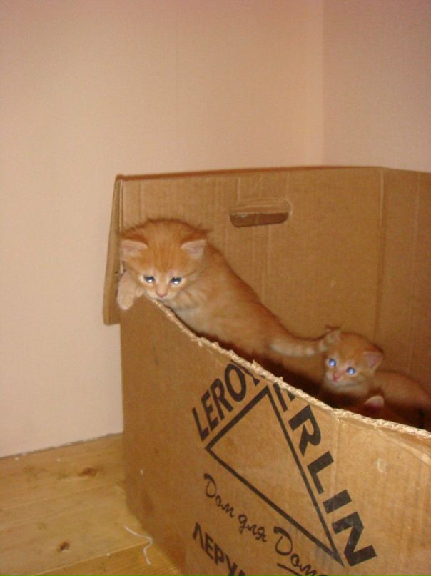 Оля Хапцова фотография #34