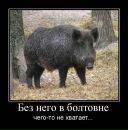 Фотография Иванова Дмитрия