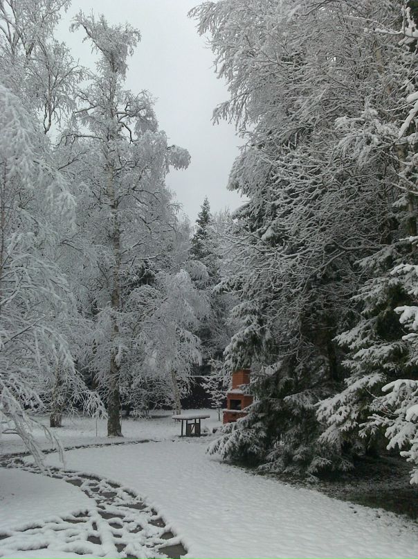 Дмитрий Витько фотография #47