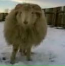 Фотография Конышева Сергея