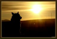 Фотография Серикова Дмитрия